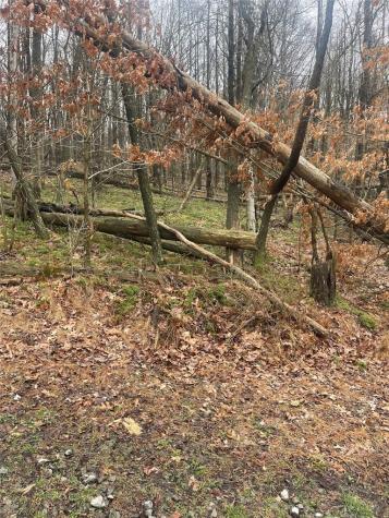 Lot 5 Blauser Lane Parker Township PA 16050