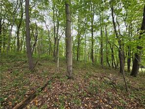 000 Lot 23 Dally Road Long Branch Boro PA 15423