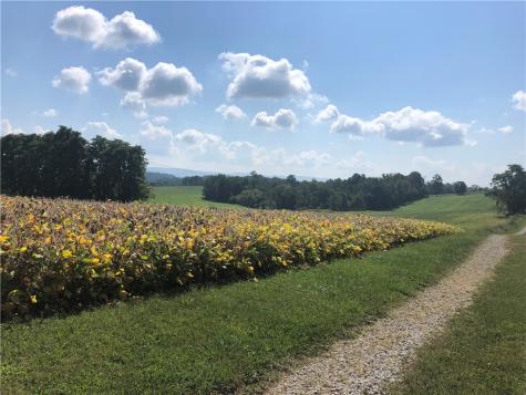 215 Duff Road Mcclellandtown PA 15458