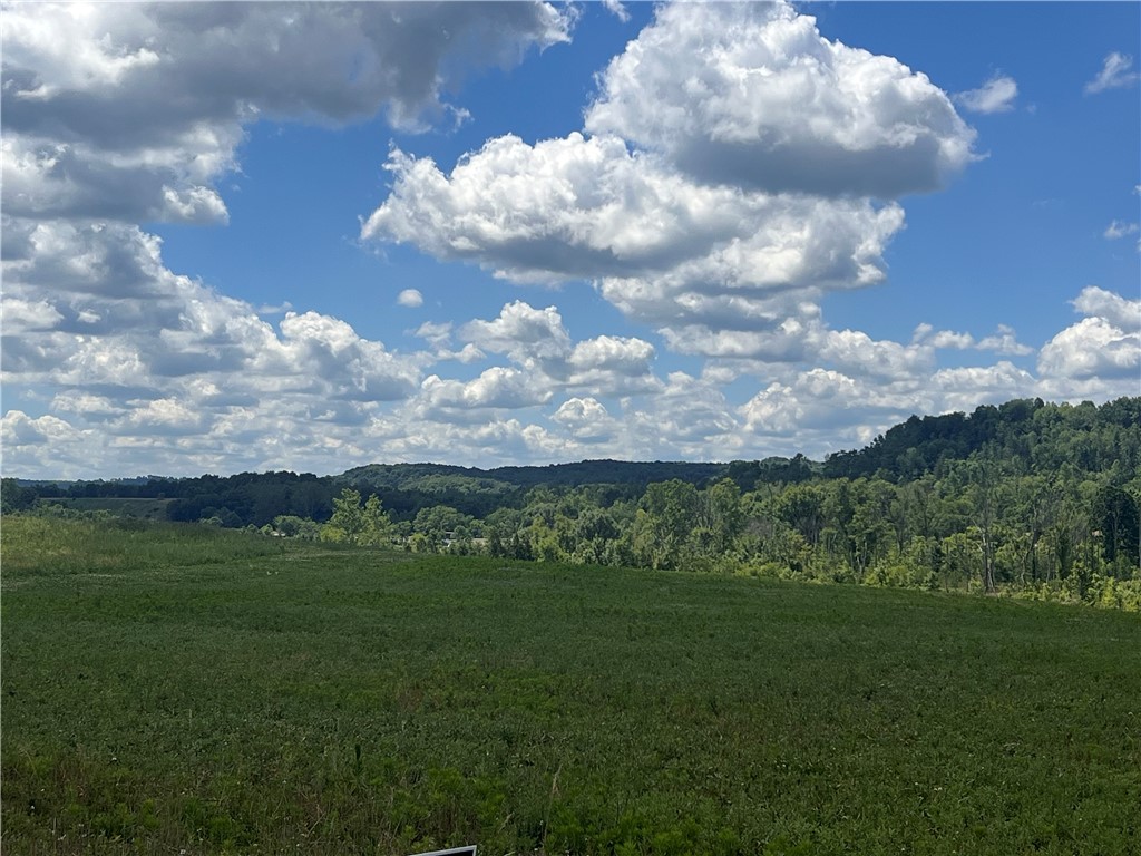 Lot 1d & 3 Beaver Dam Road Little Beaver Township PA 16141