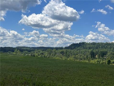 Lot 1d & 3 Beaver Dam Road Little Beaver Township PA 16141