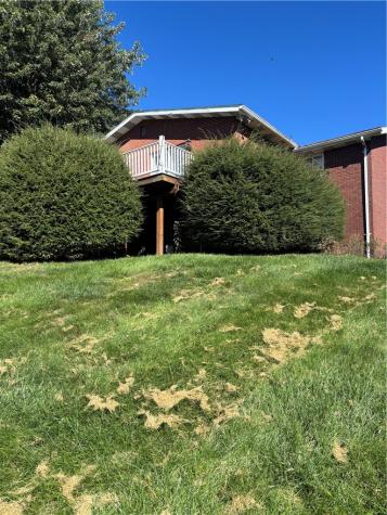 48 Mayflower Drive South Union Township PA 15401