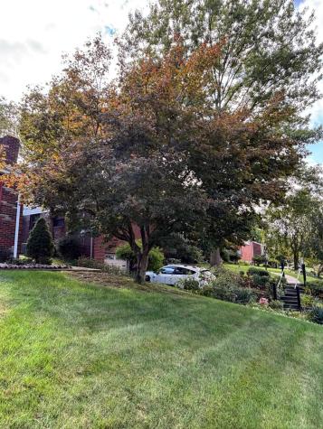 71 W Bruceton Road Pleasant Hills PA 15236