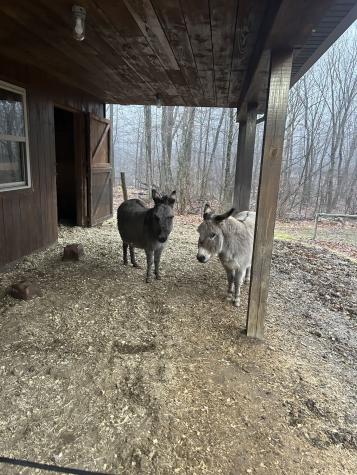 2419 Master Road Richland Township PA 16373