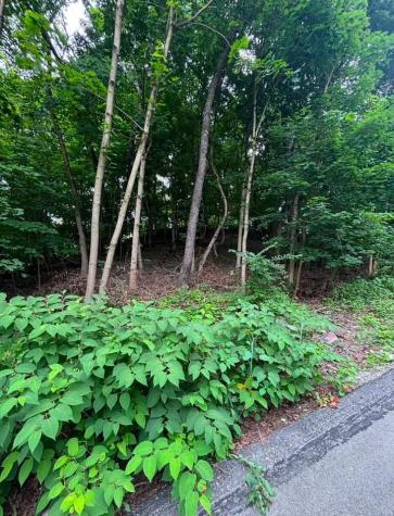 500 E Main Street Monongahela PA 15063