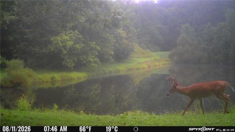 264 Stewart Run Road Waynsbrg/frankln Township PA 15370