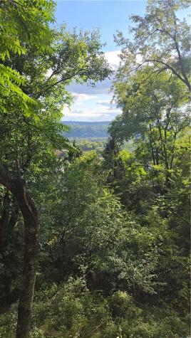 2368 Buena Vista Street Swissvale PA 15218