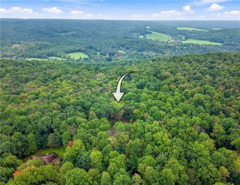 3015 Oak Ridge Lane Saltlick Township PA 15622