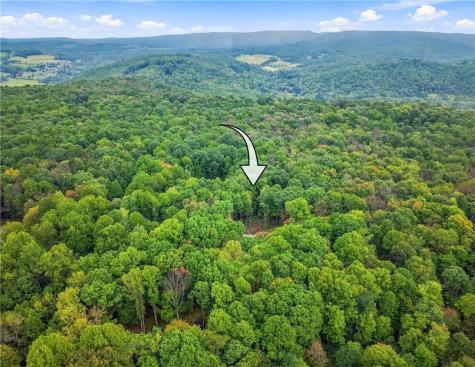 3015 Oak Ridge Lane Saltlick Township PA 15622