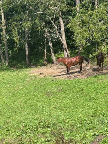 135 Cosky Lane Rochester Township PA 15074