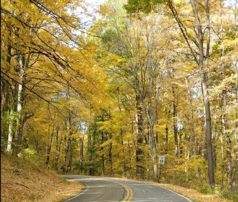 1001 Peak Drive South Park PA 15129