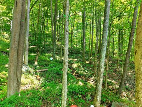 627 E Lakeview Road Henry Clay Township PA 15424