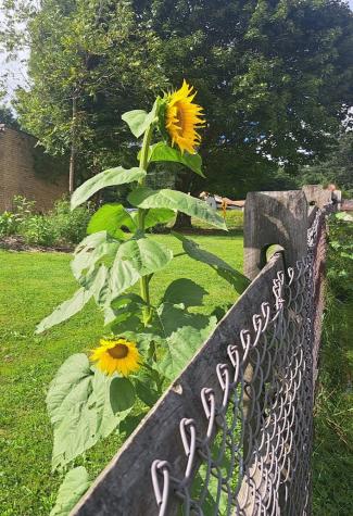 948 Herman Road Summit Township PA 16002