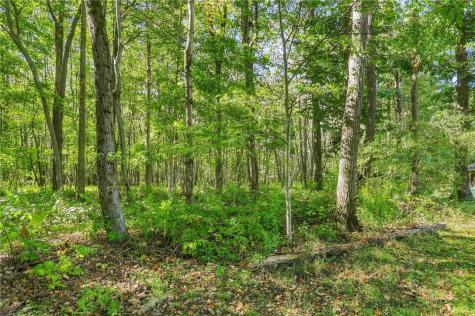 788 Fleegle Road Shade Township PA 15926