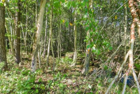 788 Fleegle Road Shade Township PA 15926