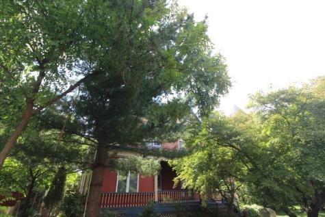 5546 Hays Street East Liberty PA 15206
