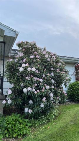 1416 Hawthorne Street Connellsville PA 15425