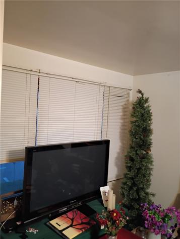 250 Green Street California PA 15419