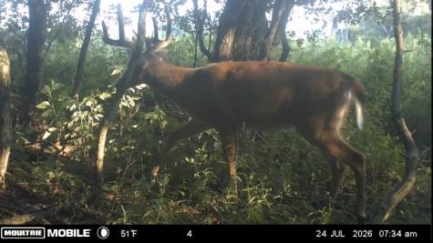 19960 Bockman Hollow Road Woodcock PA 16433
