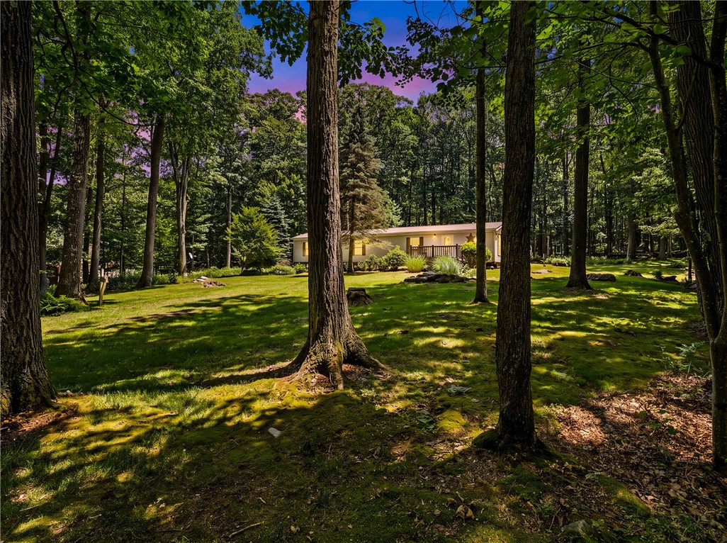 175 Dons Road Addison Township PA 15540