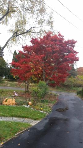 1311 Ridge Road Harmony Township PA 15003