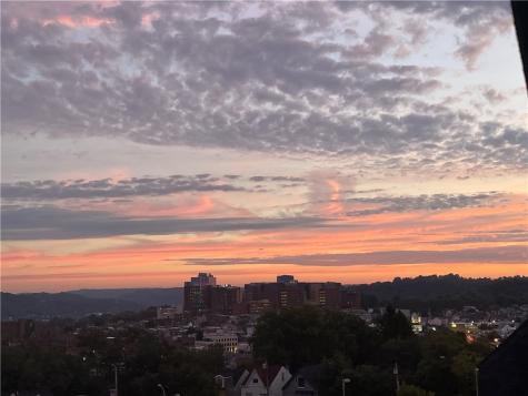 3630 Ridgway Street Hill District PA 15213