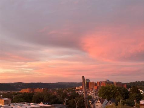 3630 Ridgway Street Hill District PA 15213