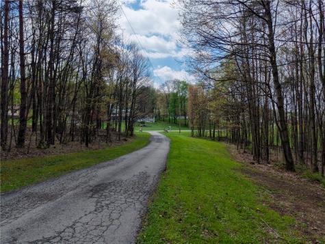 2447 Luciusboro Road Center Township/homer Cty PA 15748