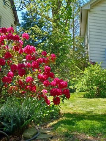 116 Patterson Avenue Carnegie PA 15106