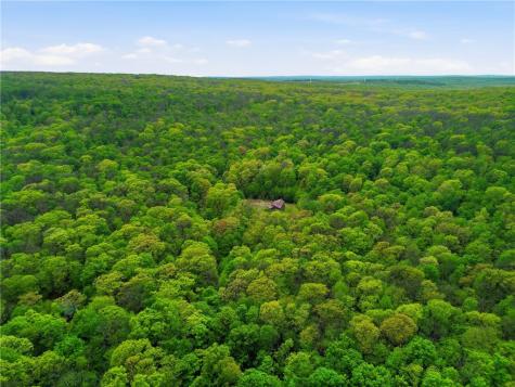 288 Ft Dewart Lane Allegheny Township PA 15926