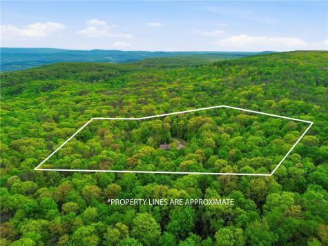 288 Ft Dewart Lane Allegheny Township PA 15926