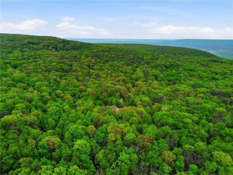 288 Ft Dewart Lane Allegheny Township PA 15926