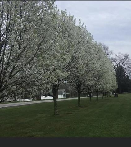 118 Eau Claire Road Venango Township PA 16049