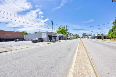 1608 Taylor Street Columbia SC 29201