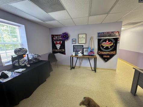 390 Railroad Avenue Lexington SC 29072