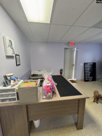 390 Railroad Avenue Lexington SC 29072