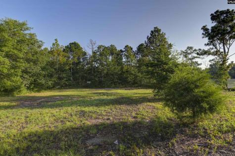 2672 Augusta Highway Lexington SC 29072