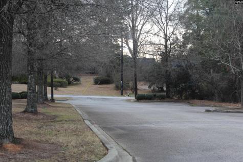 7325 St. Andrews Road Irmo SC 29063