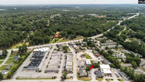 6 Clusters Court Columbia SC 29210