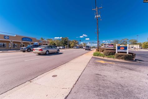 451 Columbia Avenue Lexington SC 29072