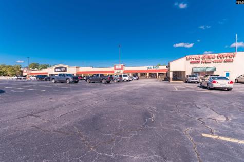 451 Columbia Avenue Lexington SC 29072