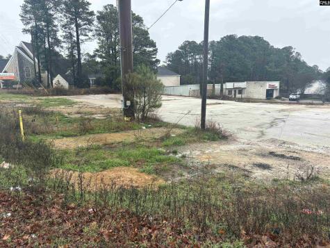 4218 Hardscrabble Columbia SC 29223