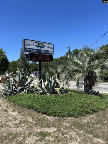 2040 S Lake Drive Lexington SC 29073