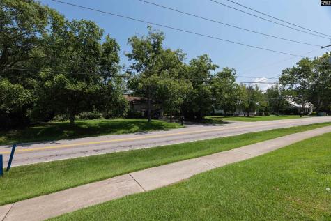 120 Old Chapin Road Lexington SC 29072