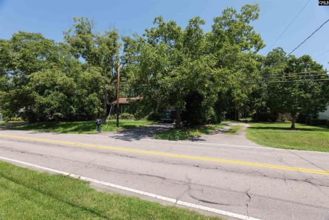 120 Old Chapin Road Lexington SC 29072