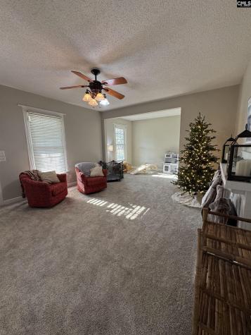 120 Old Chapin Road Lexington SC 29072