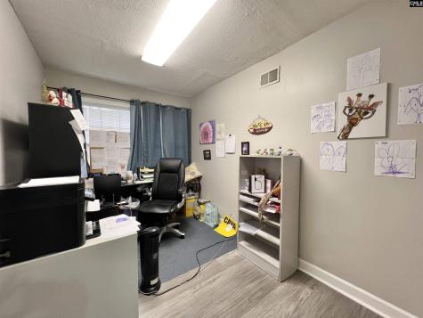 119 Latonea Drive Columbia SC 29210