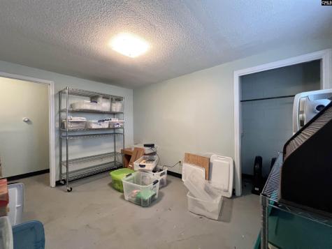 119 Latonea Drive Columbia SC 29210