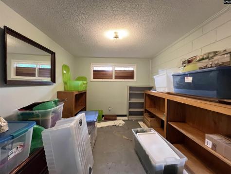 119 Latonea Drive Columbia SC 29210