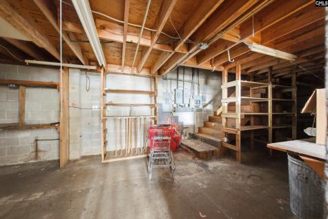 1332 Broad River Columbia SC 29210